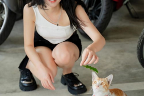 国产在线播放线99,99部热门影视作品大盘点